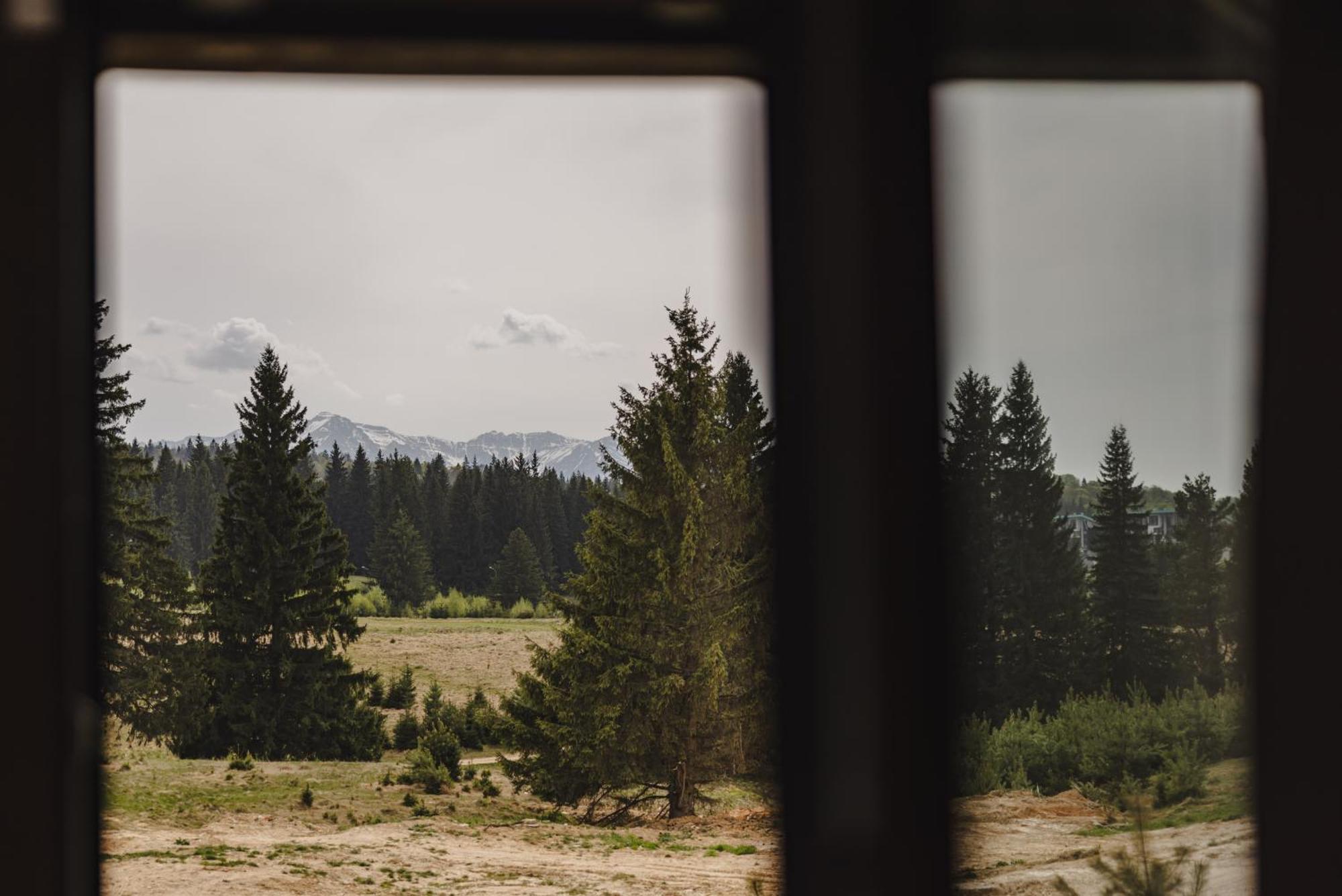 Albert Residence Aparthotel Grand Chalet With Free Spa Access To Alpin Resort Poiana Brasov Extérieur photo