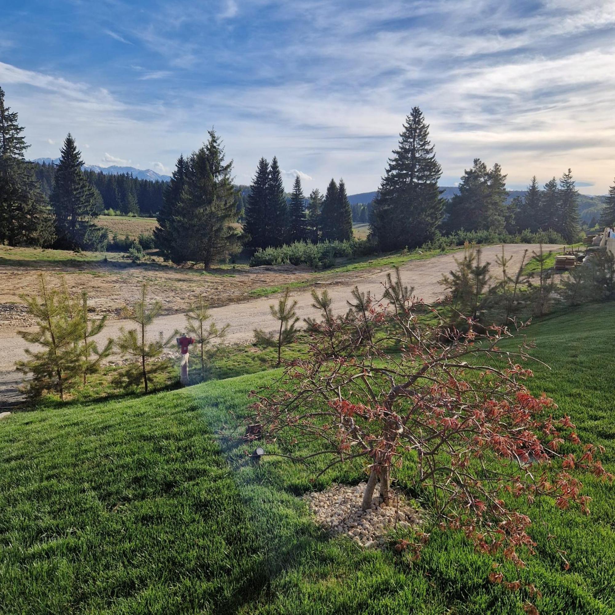 Albert Residence Aparthotel Grand Chalet With Free Spa Access To Alpin Resort Poiana Brasov Extérieur photo