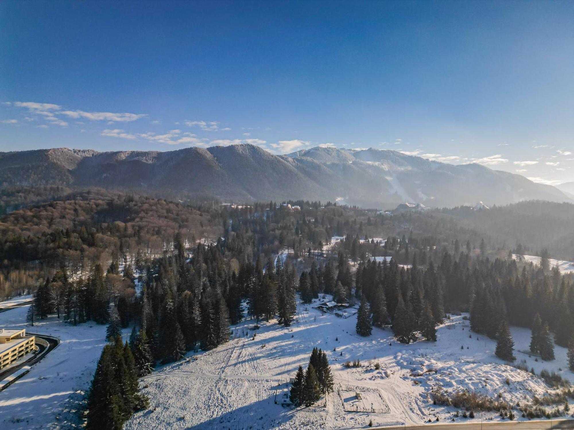 Albert Residence Aparthotel Grand Chalet With Free Spa Access To Alpin Resort Poiana Brasov Extérieur photo